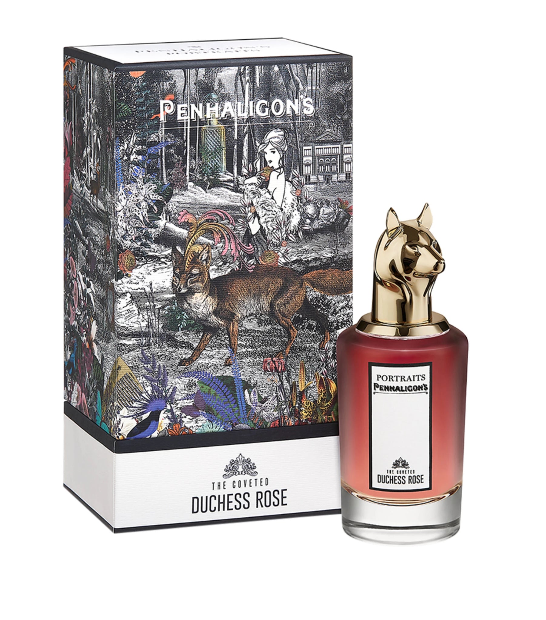 The Coveted Duchess Rose